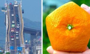 15 phát minh đỉnh cao ở Nhật Bản khiến bạn nhận ra chúng ta và họ dường như...