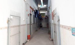 Mẹ dựng chuyện bắt cóc con gây rúng động ở Bình Dương