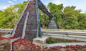 Hòn đảo cấm đường, xây cầu làm lối đi cho hàng triệu con cua