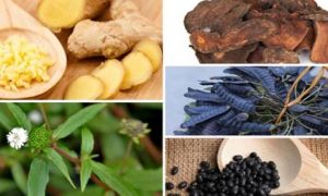 123 cách chữa bệnh dân gian dễ nhớ