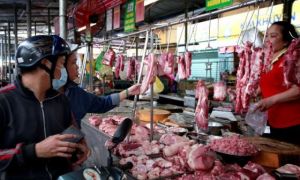 Mua thịt, cá, trứng thời nay, bạn sẽ “được” cả kháng sinh!