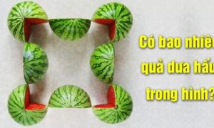 Câu đố thú vị giúp bạn ‘làm nóng’ bộ não của mình, tưởng dễ hóa ra khó