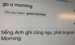 Google Dịch tiếng Việt đang bị phá hoại