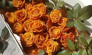 Bà mẹ Việt kiều biến tấu hồng sấy dẻo thành giỏ hoa