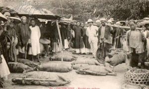 19 bức ảnh về cuộc sống Việt Nam cách đây 100 năm
