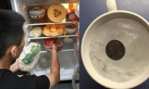 Vì sao mọi người nên bỏ đồng xu vào tủ lạnh trước khi đi chơi xa
