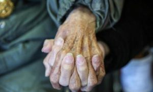 Vợ chồng già và chiếc hộp đựng giày