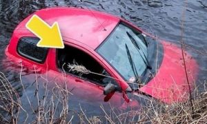 Bí quyết thoát khỏi những tình huống nguy hiểm trong gang tấc để tự cứu sống...