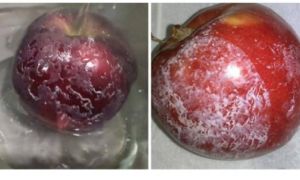 Những mẹo hay giúp bạn nhận biết táo có chứa hoá chất hay không