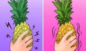 Mẹo nhận biết những loại thức ăn kém chất lượng