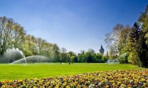 Người Việt ở Hungary: Một xã hội rất nhân văn thời dịch Covid-19
