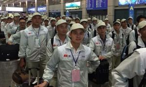 Vì sao du học sinh nhiễm Covid-19 còn lao động Việt ở nước ngoài thì không?