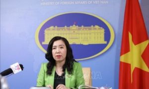 Thông tin về trường hợp thực tập sinh Việt Nam bị sát hại tại Nhật Bản