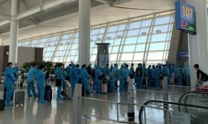 Hơn 310 người Việt từ Hàn Quốc về nước