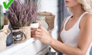 10 cách giúp bạn kiểm soát cơn tức giận