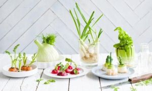 /thumb/thumb.php?src=images/stories/content/2020/10/18/42_1_ho-bien-do-thua-trong-can-bep-thanh-vat-trang-tri-khong-gian-song.jpg&w=300&h=180&zc=1&q=80&a=c