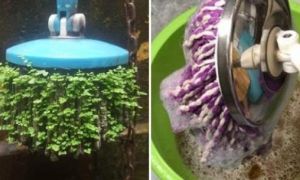 Chổi lau nhà có màu đen bẩn, tanh hôi? Chỉ với mẹo nhỏ lập tức sạch bách như mới