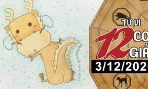 Tử vi thứ Năm ngày 3/12/2020 của 12 con giáp: Tuất, Hợi bùng nổ tài lộc, Tý...