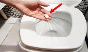 Lấy 1 tép tỏi vào bồn cầu, biết công dụng nhà nhà đều muốn học theo