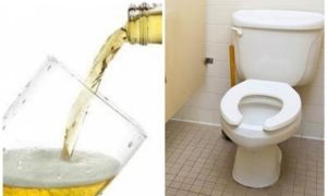 Đổ bia vào bồn cầu, tưởng lãng phí vô ích nhưng lại có hiệu quả không ngờ