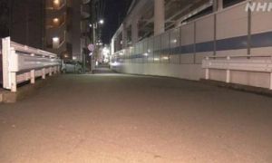 Một người Việt ở Nhật bị đồng hương đâm chết trên phố vì xích mích