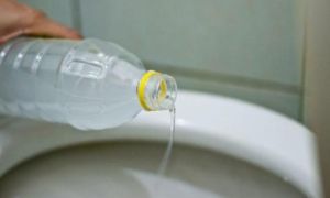 Đem giấm trắng đổ vào bồn cầu và để qua đêm, mẹo hay mà ngườĭ lười chắc chắn...