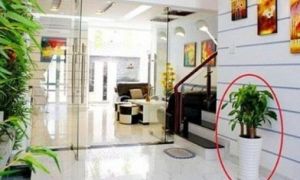 15 ngày cuối cùng của tháng Chạp, gia chủ ĐỪNG QUÊN làm 5 việc tốt này để HÚT...