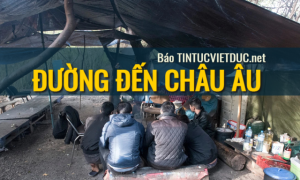 Những người Việt nhập cư trái phép mong trở lại quê nhà trong vô vọng