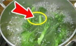 4 loại rau không bao giờ nên luộc, bà nội trợ phải nhớ kỹ.