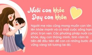 4 trò chơi mẹ tự tay làm bằng thùng carton, giúp trẻ đỡ chán khi ở nhà mùa dịch