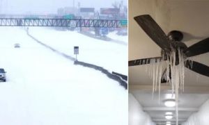 Người dân Texas chết ở sân sau, trong ôtô, thậm chí trên giường ngủ