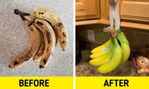 8 mẹo bảo quản thực phẩm không cần tủ lạnh