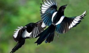 Bất ngờ xuất hiện 4 dấu hiệu này trong nhà chính là lộc lạnh đang tới, vượng...