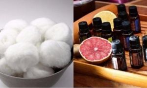 Thả miếng bông gòn này vào thùng rác, tác dụng bất ngờ của nó sẽ khiến bạn...