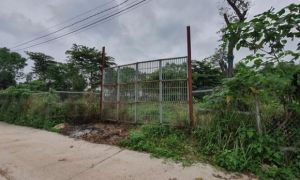 Giá đất 2 bờ sông Hồng