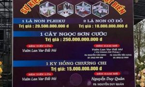 Tổng cục Thuế thúc các cục thuế nắm bắt giao dịch lan đột biến