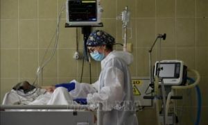 Điểm tựa của người Việt xa xứ trong 'cơn sóng dữ' COVID-19