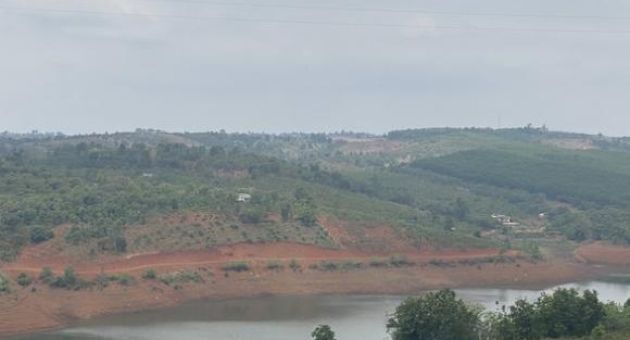 UBND TP Gia Nghĩa chưa biết chuyện phá 5.600m2 rừng phòng hộ và ai là thủ phạm