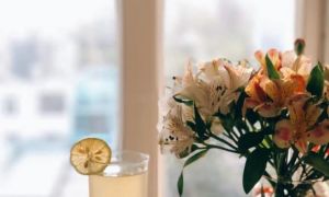 ‘Nếu không giúp ích, đừng gây thêm phiền phức tại khu cách ly’