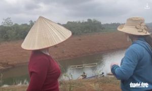 Doanh nghiệp mua gom đất, rồi được chính quyền xin 'hợp thức hóa' thành dự án?