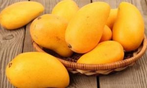 Hôm nay tôi mới biết dùng một que tăm đâm vào trái xoài sẽ không bị bẩn hoặc...