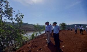 Tự ý mở đường, hủy hoại hơn 5.600m2 rừng phòng hộ: 2 người bị phạt... 22 triệu