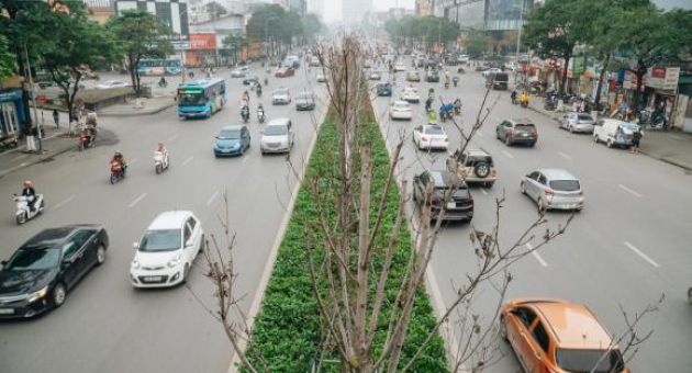 Hàng phong lá đỏ ở Hà Nội: Từ kỳ vọng “Châu Âu giữa lòng Thủ đô” đến “những...