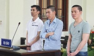 Bị cáo buôn ma túy cãi: “Tòa không dùng ke nên không hiểu” (!)