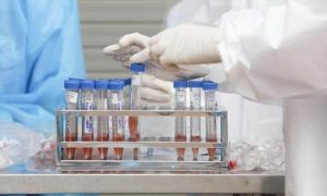 Phát hiện bốn ca nhiễm Covid-19 mới nhập cảnh tại Kiên Giang và Khánh Hoà