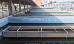 Một số nơi ở TP.HCM nước yếu, cúp nước từ tối nay 17-4: Người dân...
