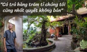 Hà Nội: Nhà vườn 300m2 ngay tại “đất vàng” phố cổ, đại gia trả giá 180 tỉ cũng...