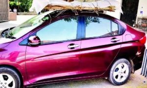 Không gọi được xe cứu thương, con trai phải chằng xác bố lên nóc xe chở tới...
