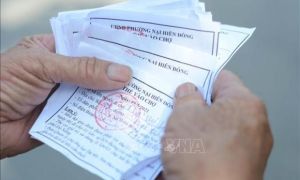 Đà Nẵng: Triển khai phát thẻ '3 ngày đi chợ 1 lần'