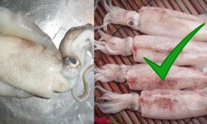 Hãy ghim ngay 4 cách phân biệt MỰC TƯƠI chuẩn với MỰC NGÂM HÓA CHẤT nếu chị em...